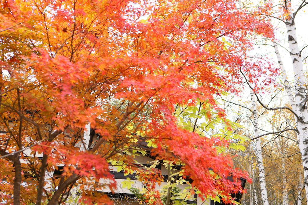 Konashi No Yu Sasaya Hotel Matsumoto Exterior photo